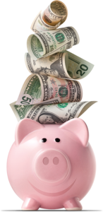 pig money image